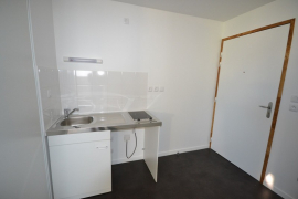 Location appartement 1 pièce(s) 29 m² - Photo 4