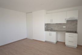Location appartement 2 pièce(s) 40 m² - Photo 5