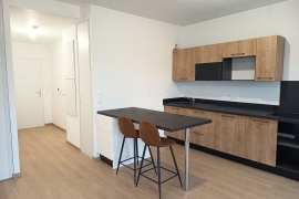 Location appartement 1 pièce(s) 33 m² - Photo 4 Location appartement 1 pièce(s) 33 m² - Photo 4