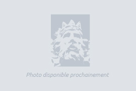 Vente appartement 3 pièce(s) 53 m² - Photos à venir
